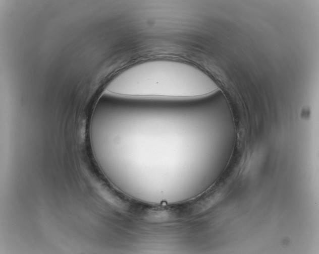 X0000092090454200709121129