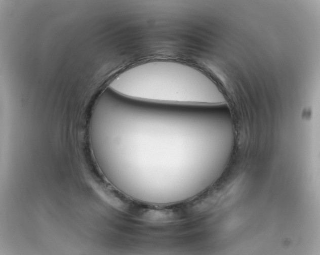 X0000092090455200709121129