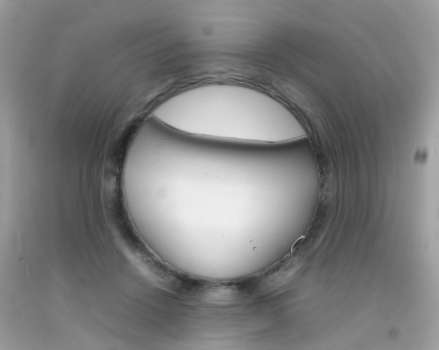 X0000092090456200709121129