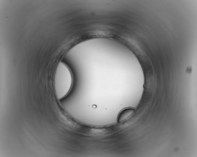 X0000092090457200709121129