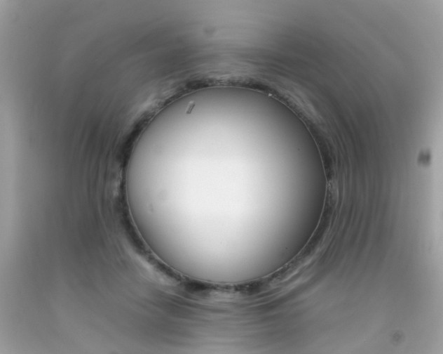X0000092090458200709121129
