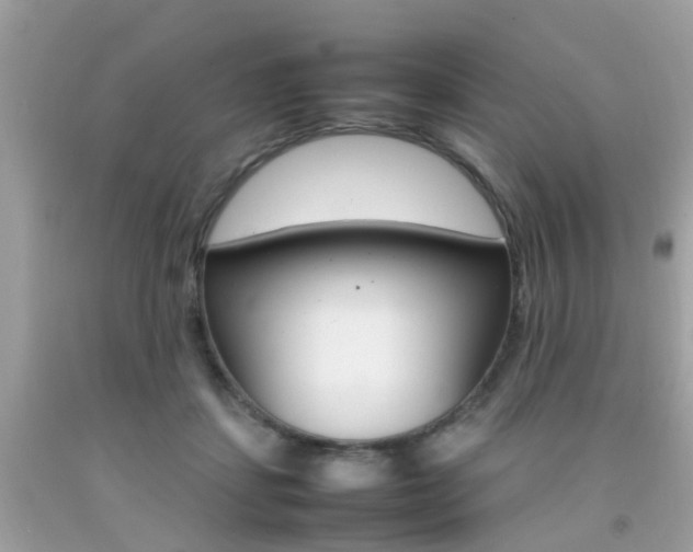 X0000092090459200709121129