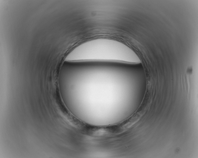 X0000092090460200709121129