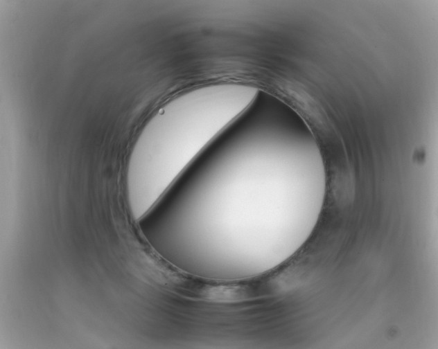 X0000092090461200709121129