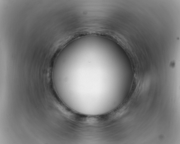X0000092090462200709121129