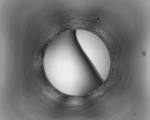 X0000092090463200709121129