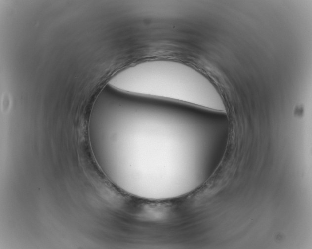 X0000092090465200709121129