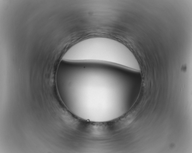 X0000092090466200709121129