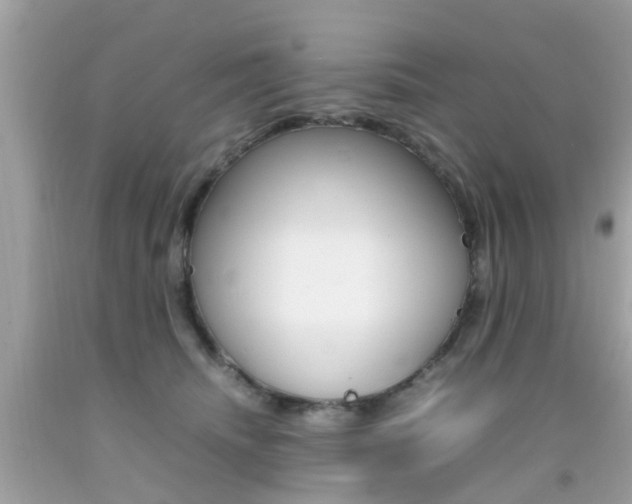 X0000092090468200709121129