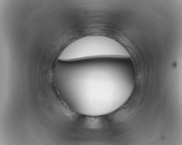 X0000092090469200709121129