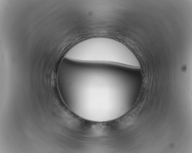 X0000092090470200709121129