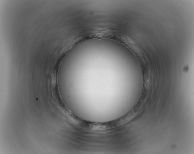 X0000092090471200709121129