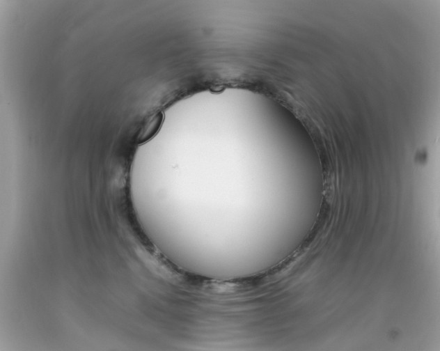 X0000092090472200709121129