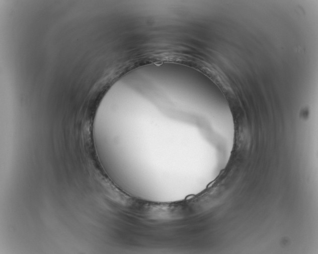 X0000092090473200709121129