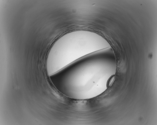 X0000092090474200709121129