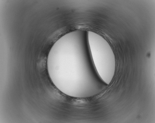 X0000092090475200709121129