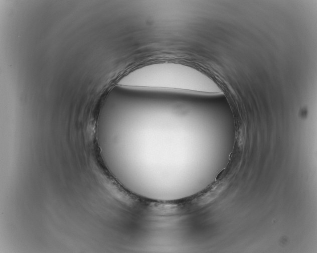 X0000092090476200709121129