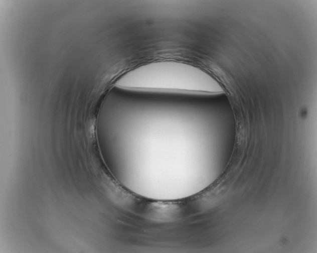 X0000092090477200709121129