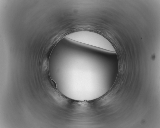 X0000092090478200709121129