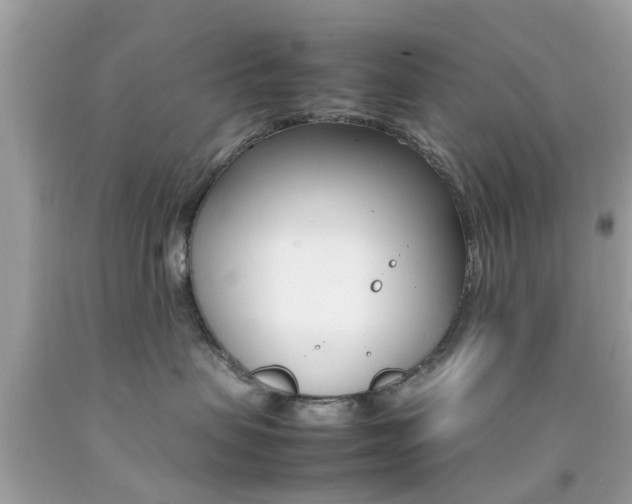 X0000092090479200709121129
