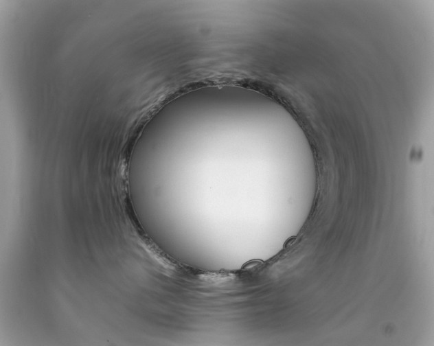 X0000092090480200709121129