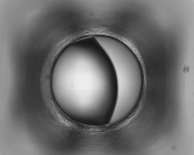 X0000092090481200709121129