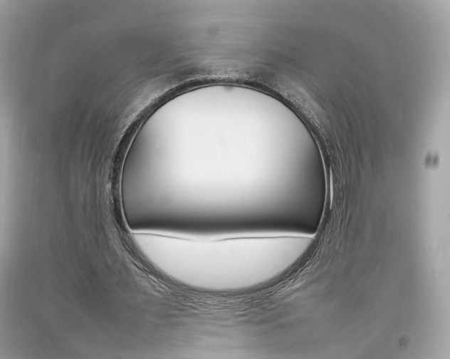 X0000092090483200709121129