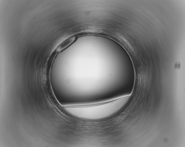 X0000092090484200709121129