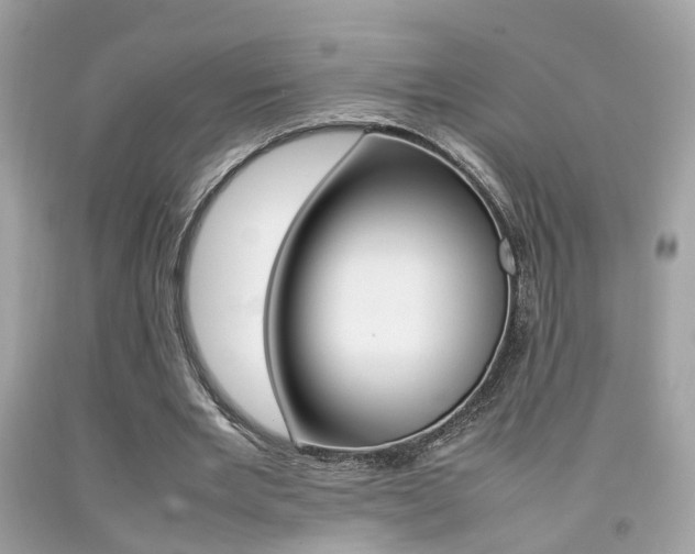 X0000092090485200709121129