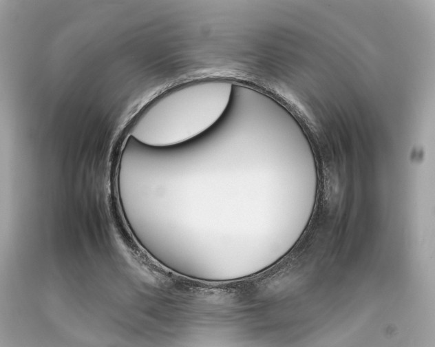 X0000092090486200709121129