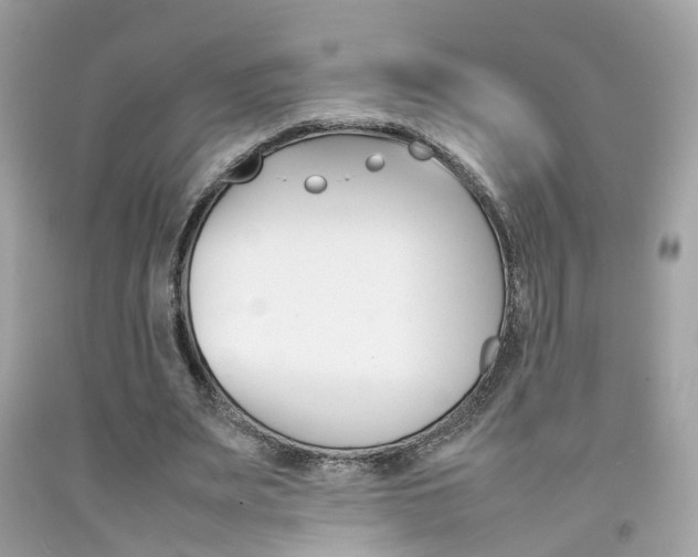 X0000092090487200709121129