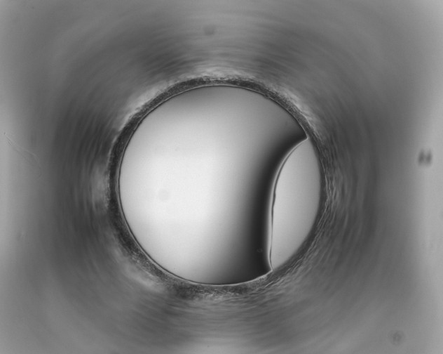 X0000092090488200709121129
