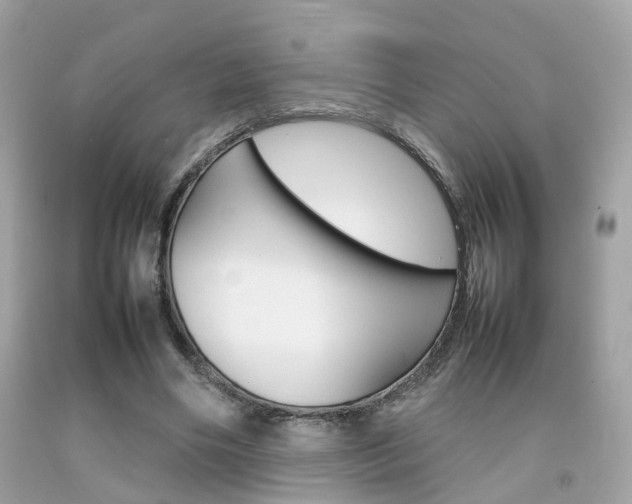 X0000092090490200709121129