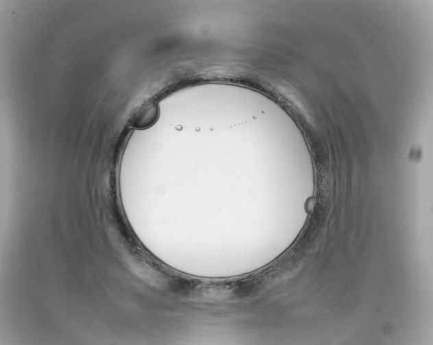X0000092090491200709121129