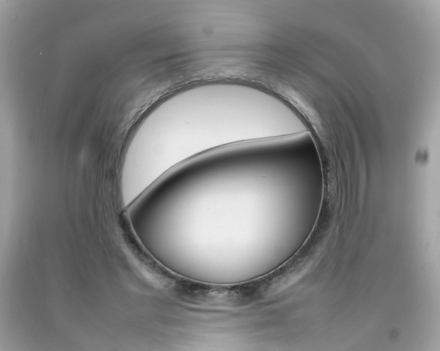 X0000092090493200709121129