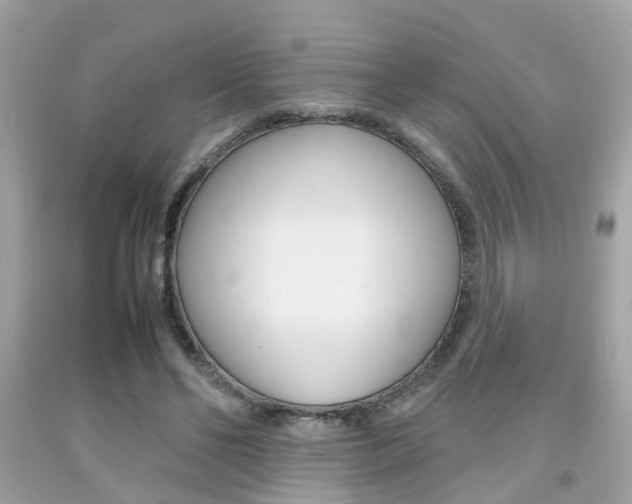 X0000092090494200709121129