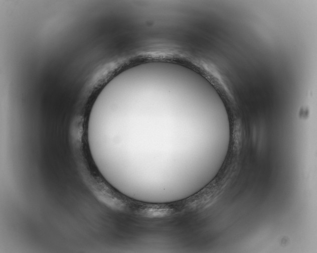 X0000092090495200709121129