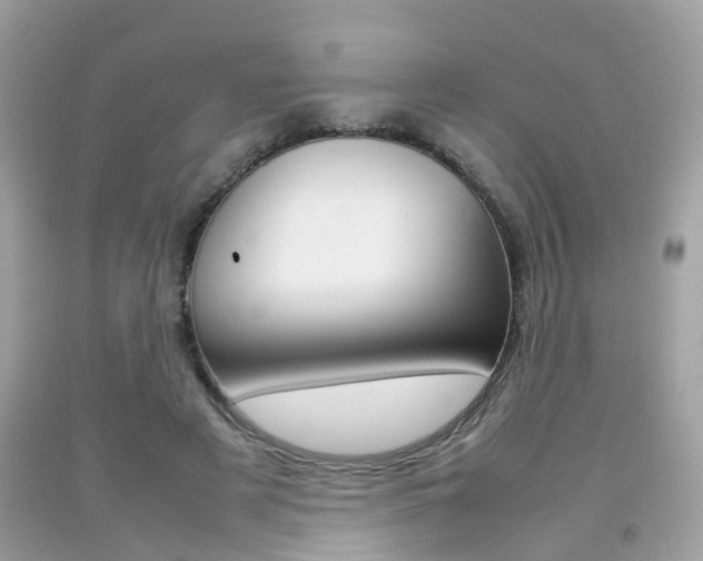 X0000092090497200709121129