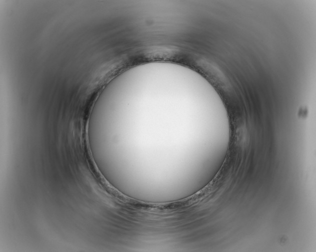 X0000092090498200709121129