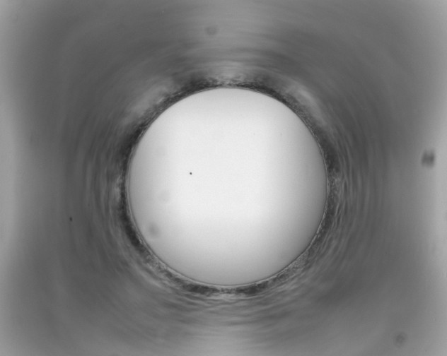 X0000092090499200709121129