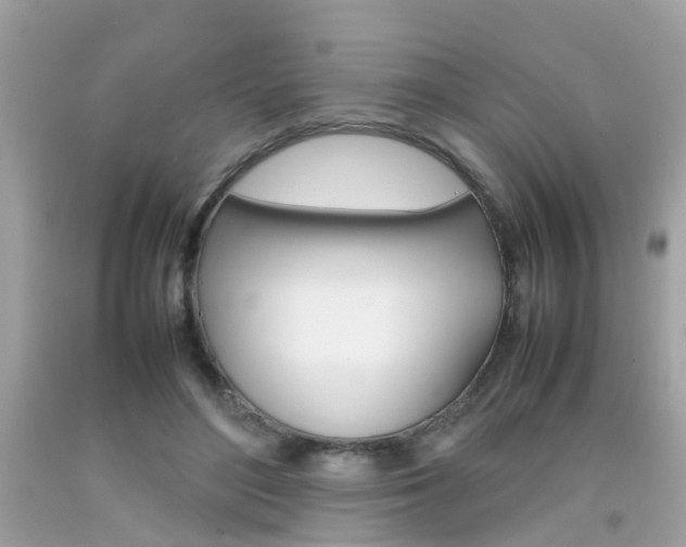 X0000092090500200709121129