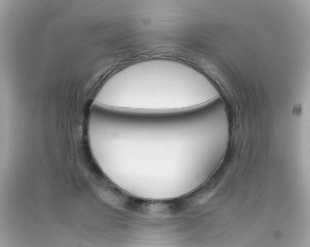 X0000092090501200709121129