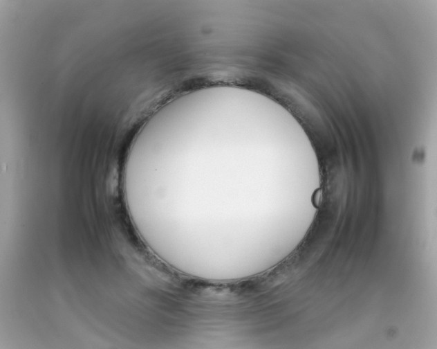X0000092090502200709121129