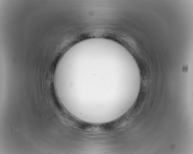 X0000092090503200709121129