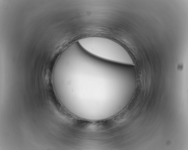X0000092090504200709121129