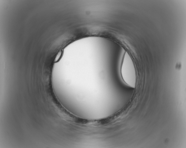 X0000092090505200709121129