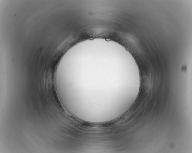 X0000092090506200709121129