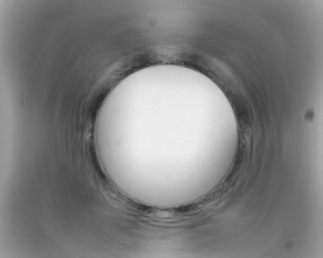 X0000092090507200709121129