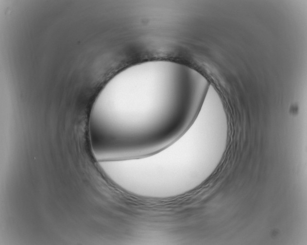 X0000092090509200709121128