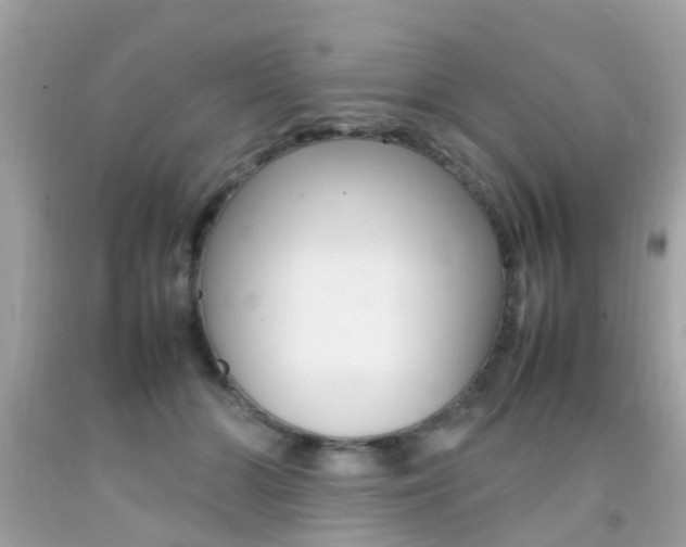 X0000092090510200709121128